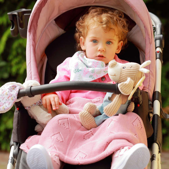 Jucarie muzicala catelul gradinar 1124/01