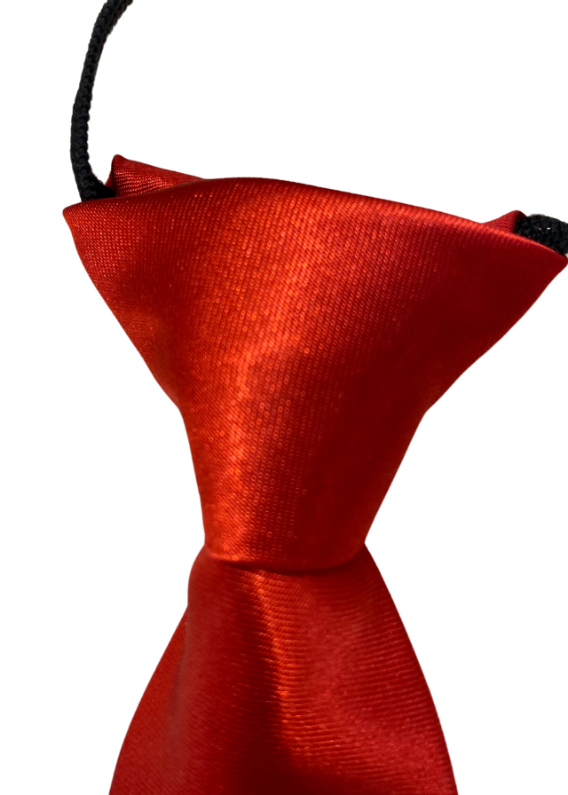 Червона атласна краватка з гумкою LaKids