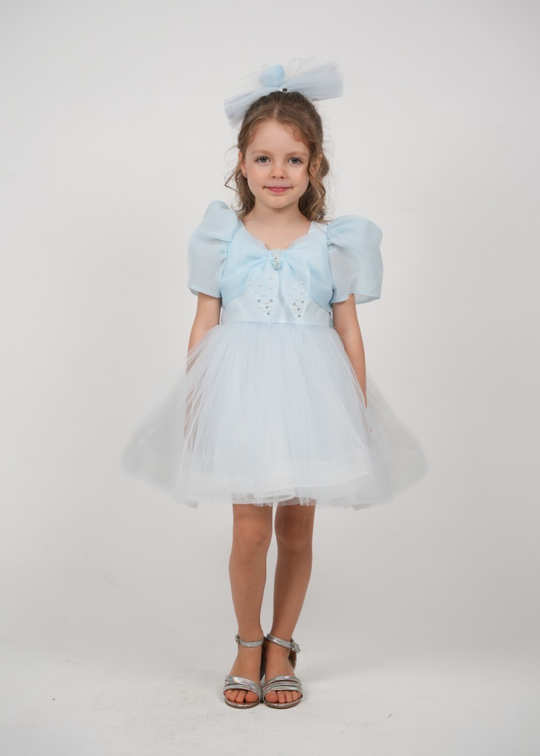 Blue ceremony dress with organza bust, short sleeves, and tulle skirt art 3164 Mon Princess