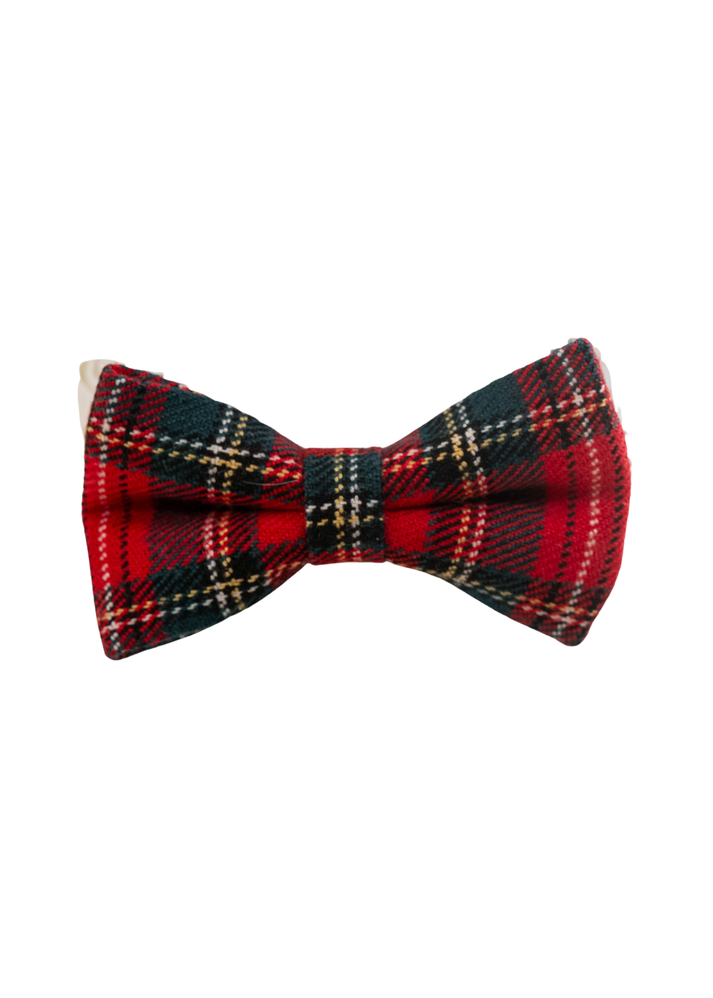 Papion Brocard Rosu AnneBebe