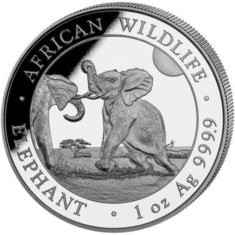 AnneBebe - Moneda Argint Somalia Elephant 2024 31.10 g - 1115503