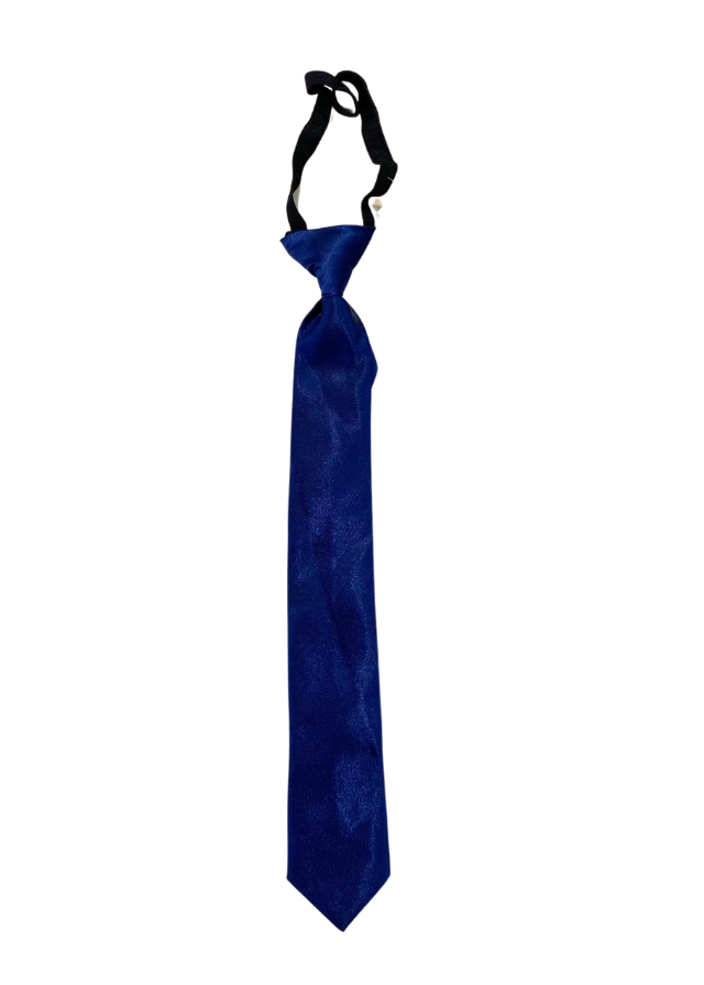 Blue Satin Tie with Elastic LaKids