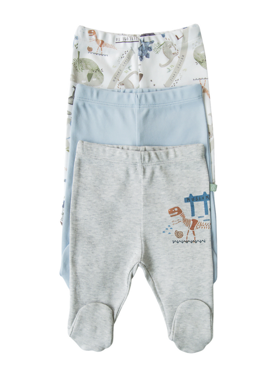 Set of 3 Pairs of Organic Cotton Pants with Leg Gray with Blue Dinosaurs S24018 Kitikate