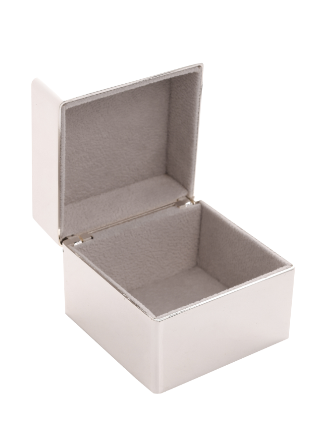 Caseta Patrata Argintata cu Fluture SP3622 Sophia