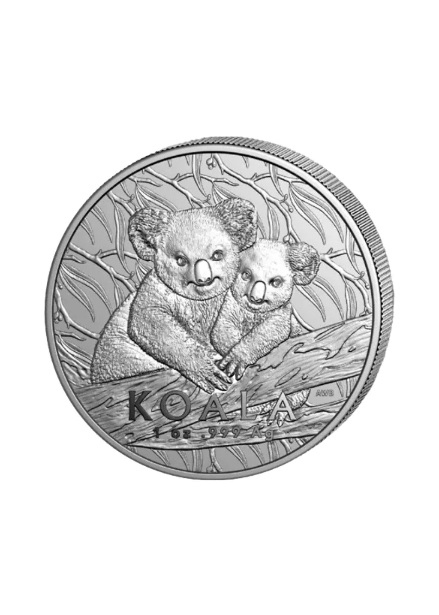 2025 (Australia)