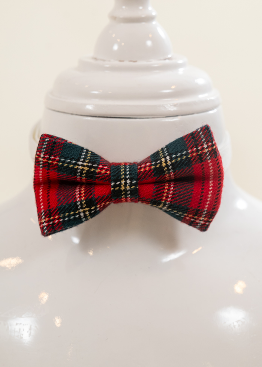 Papion in Carouri Rosu cu Verde AnneBebe