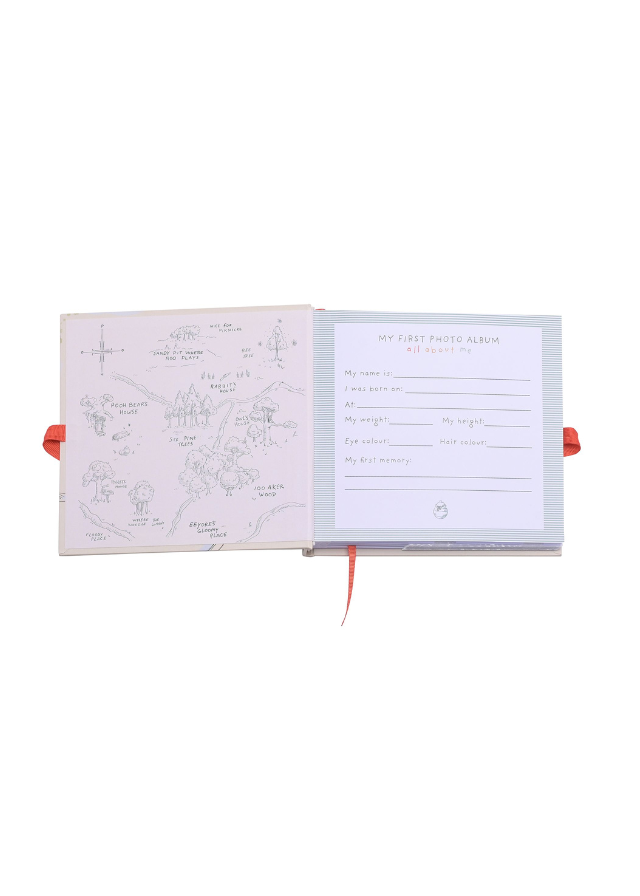 Album Foto Bej Winnie The Pooh DI2056 Disney