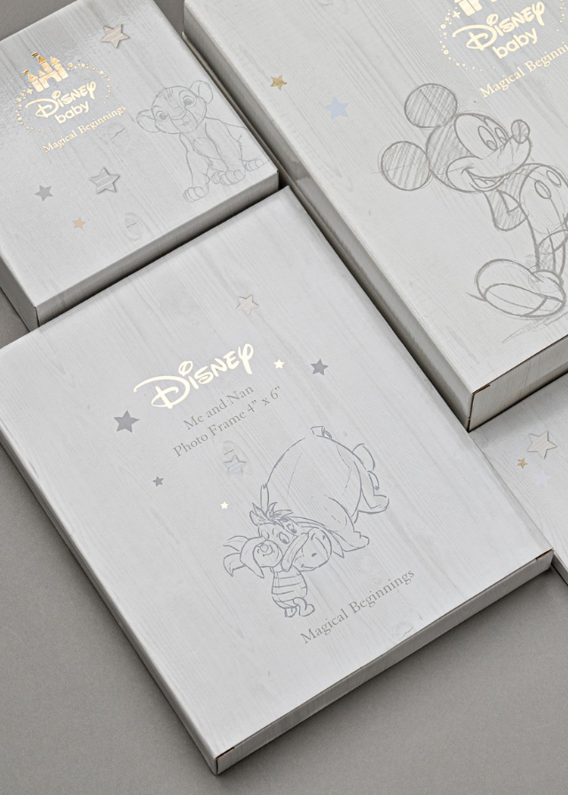 Rama Foto Alba My First Year -Dumbo DI418 Disney