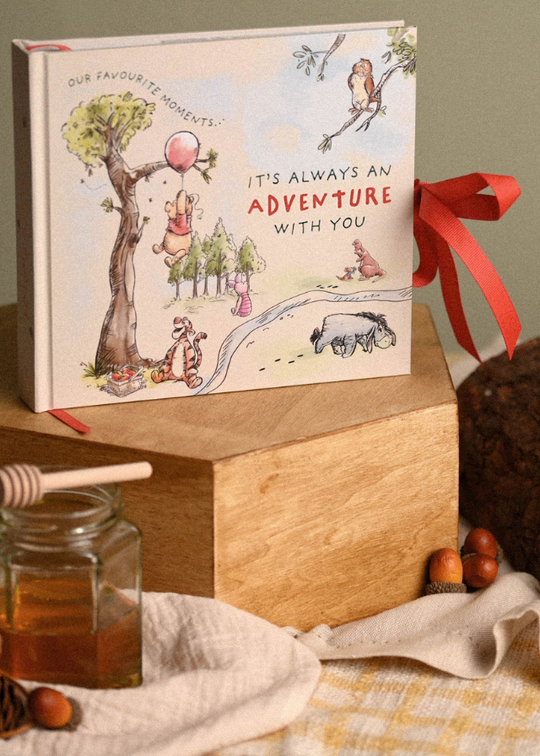 Album Foto Bej Winnie The Pooh DI2056 Disney