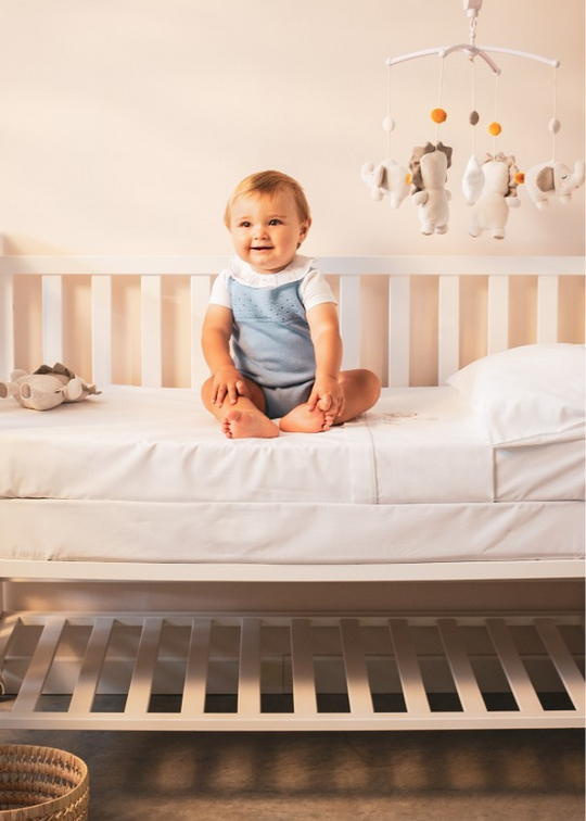 Carousel Leon Gray and white LEO04 Don Algodon