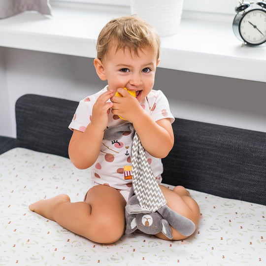 Jucarie atasament plus Saul 1445