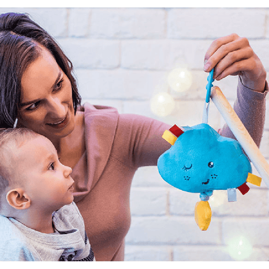 Музична розвиваюча іграшка BabyOno 616 Plus Soft Norisor