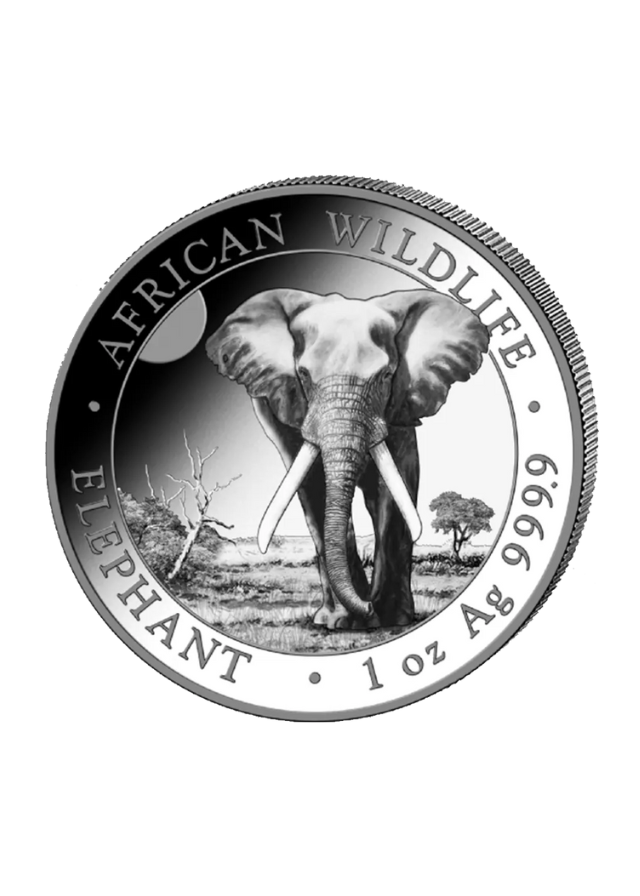 Moneda Argint Somalia Elephant 2025 31.10 gr - 23113